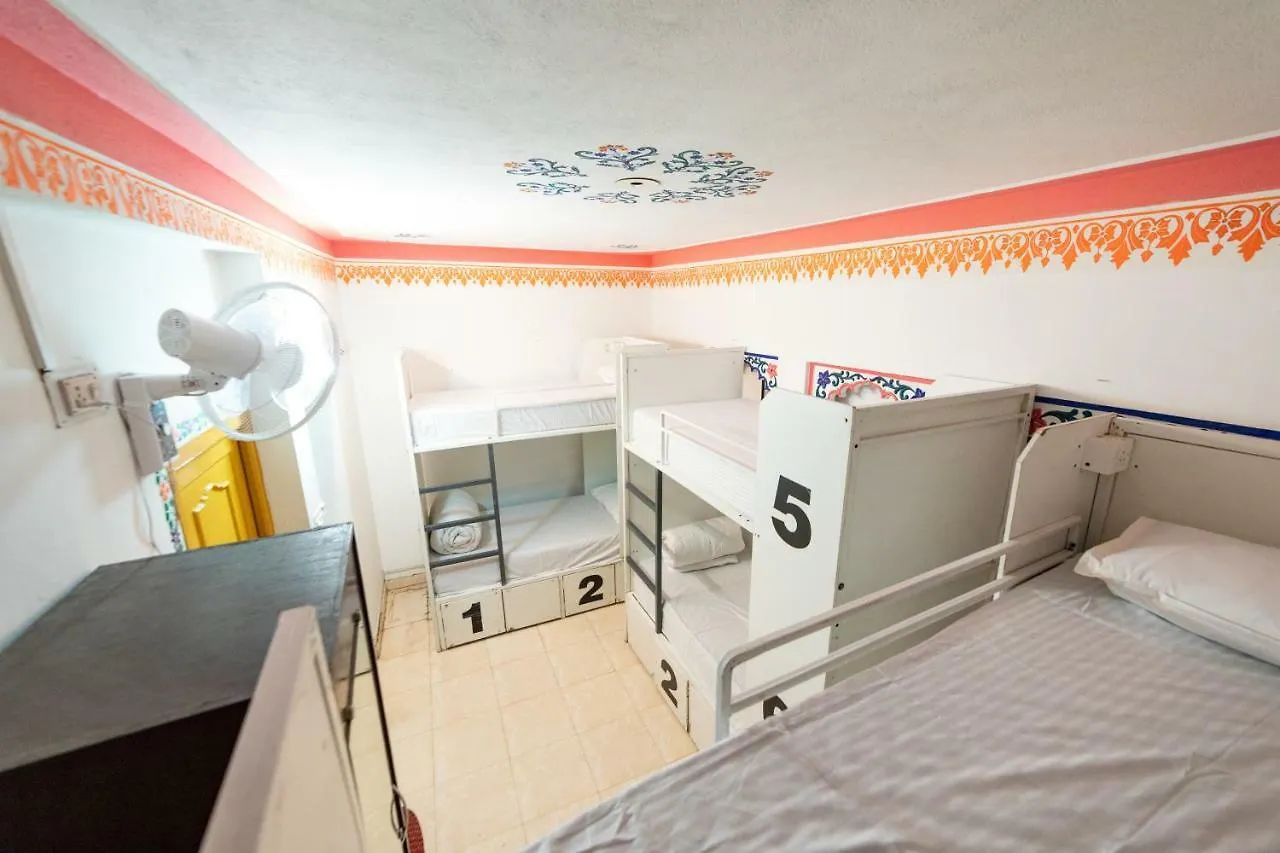 Backpacker Panda Udaipur Hostal