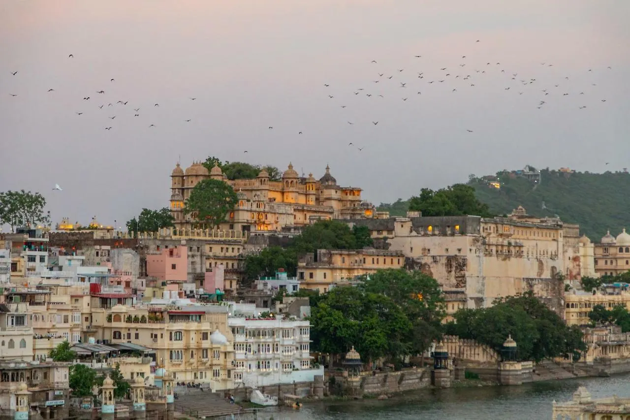 Hostal Backpacker Panda Udaipur